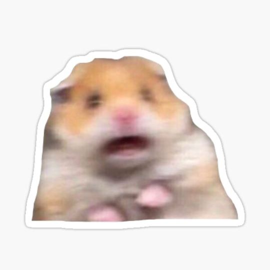 Discover hamster meme sticker