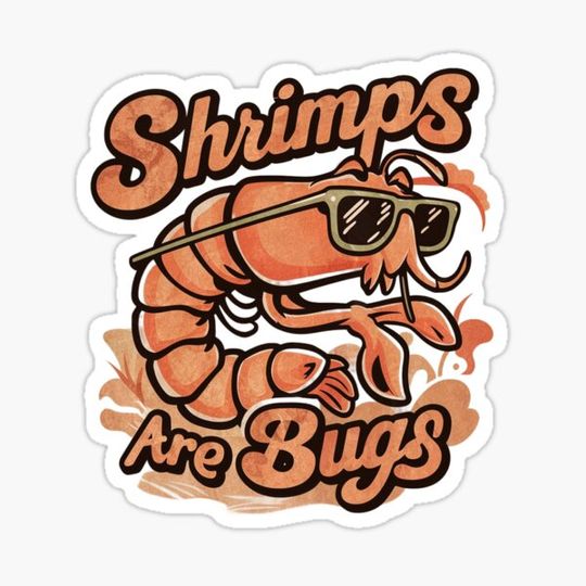 Discover shrimps is bugs