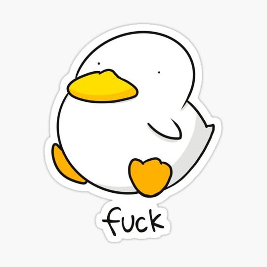 Discover Duck