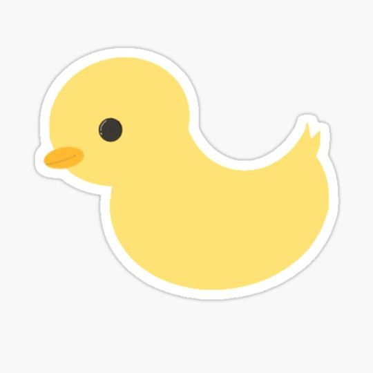 Discover Duck