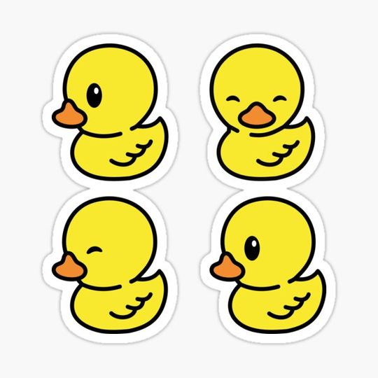 Discover ducks