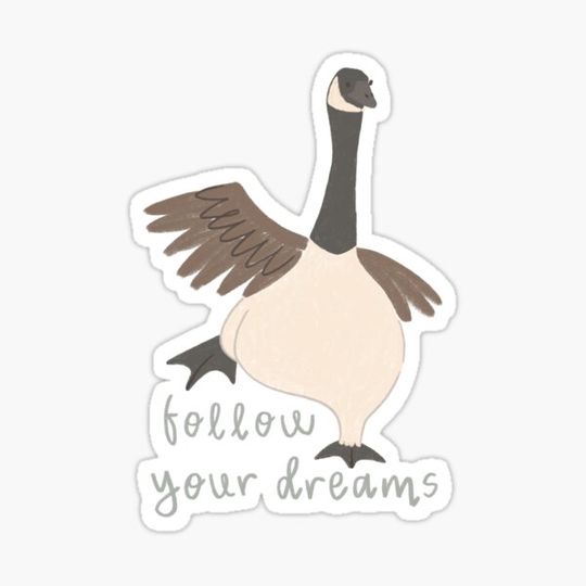 Discover Follow Your Dreams Goose