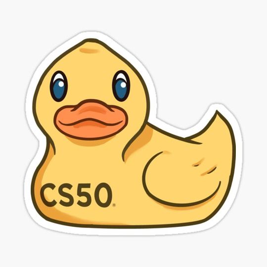 Discover CS50 ddb (left-facing)