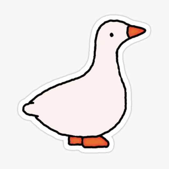 Discover Goose