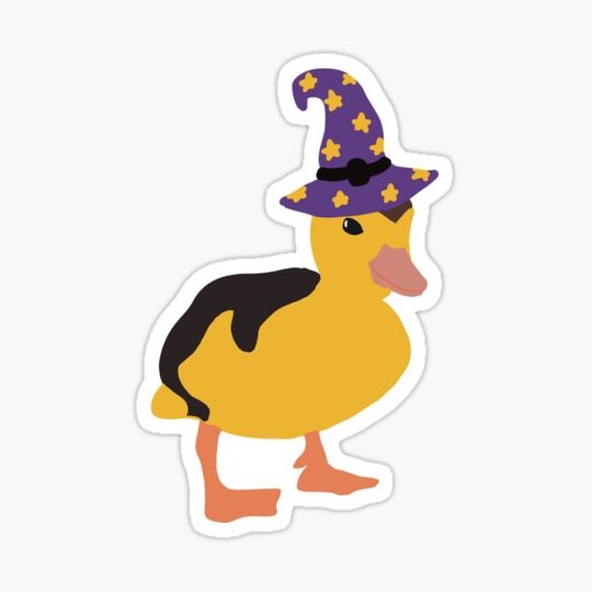 Discover Witch duck