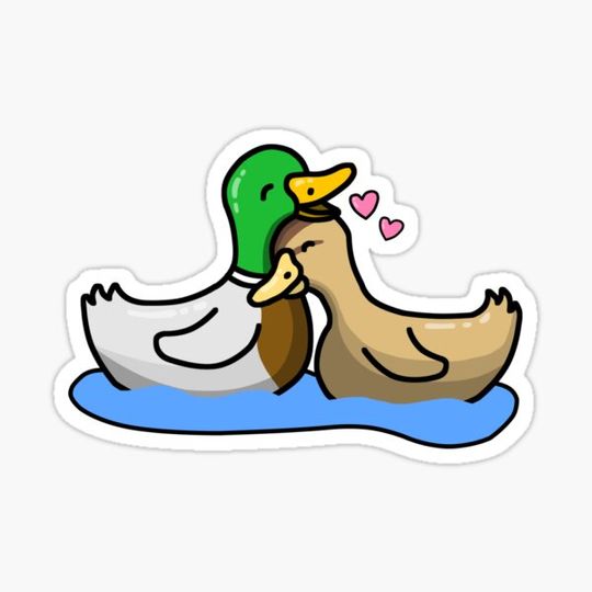 Discover Duck Couple