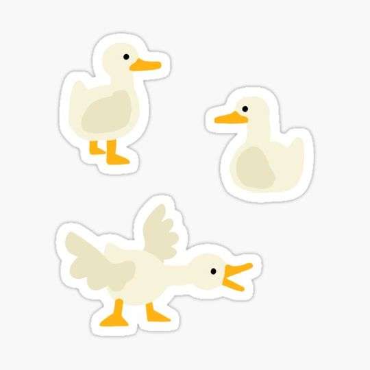Discover Ducks - Set of 3