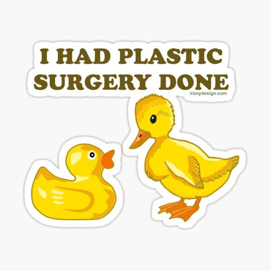 Discover I Had Plastic Surgery Done Funny Ducks