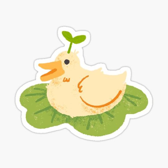 Discover Cute duck plant