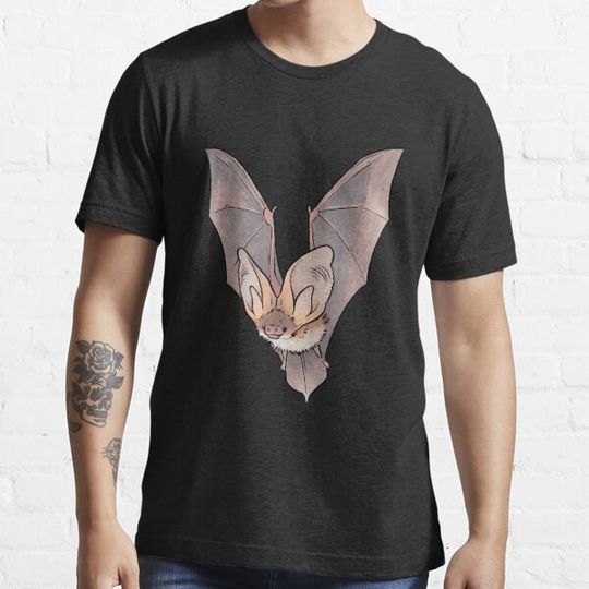 Discover Grey Long Eared Bat
