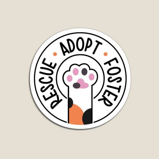 Discover Rescue, Adopt, Foster - Calico