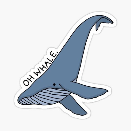 Discover 'Oh Whale.' Whale Illustration 2