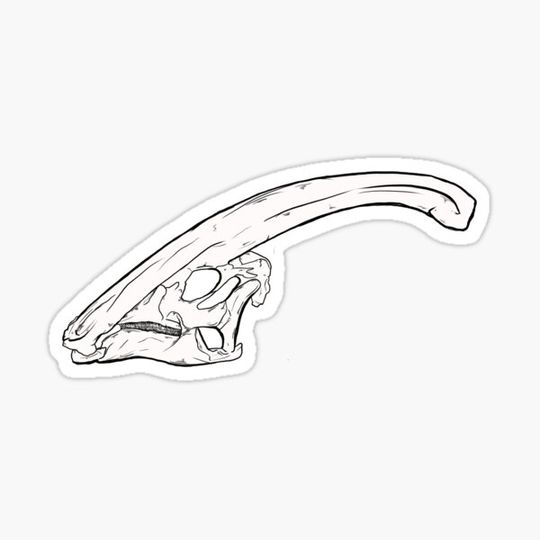 Discover Parasaurolophus Skull
