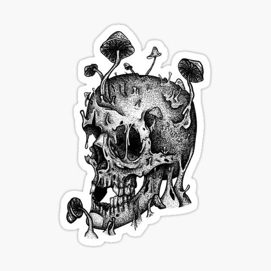 Discover Skullshroom