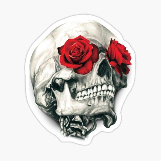 Discover Rose Eye Skull
