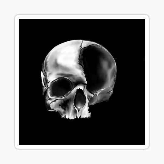 Discover Skull 2