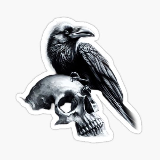 Discover Raven Skull - Art
