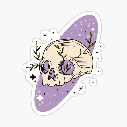 Discover Skull 1