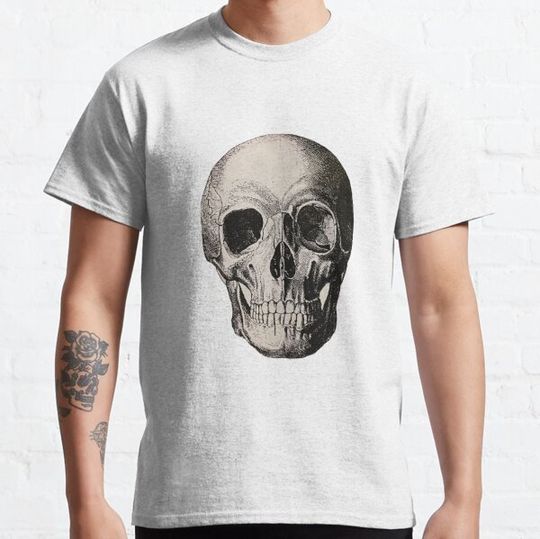 Discover skull
