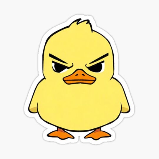 Discover Angry duck
