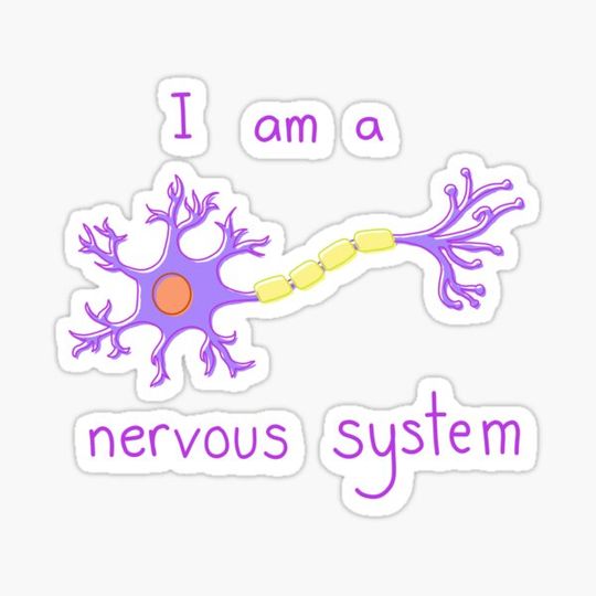 Discover I am a Nervous System