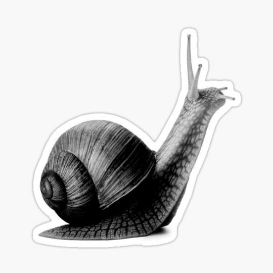 Discover snail... booger with a crash helmet
