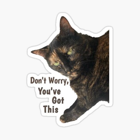 Discover Don’t Worry You’ve Got This (Cat)