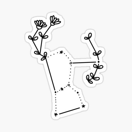 Discover Orion Constellation