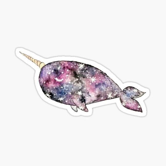 Discover Galaxy Narwhal