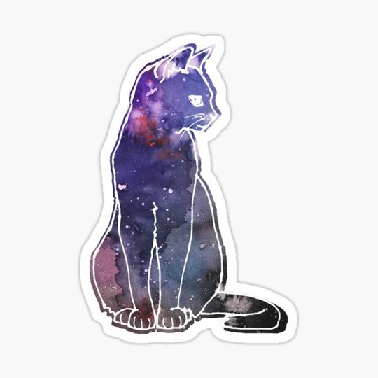 Discover Space Cat