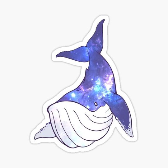 Discover Space Whale - Humpback