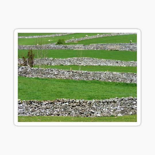 Discover Yorkshire Glory