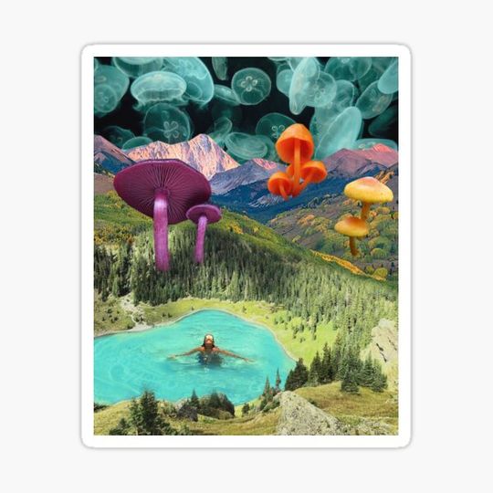 Discover Giant swim