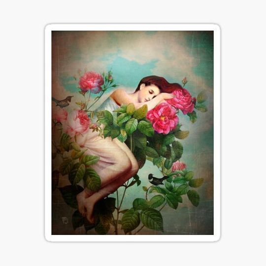 Discover In Bloom