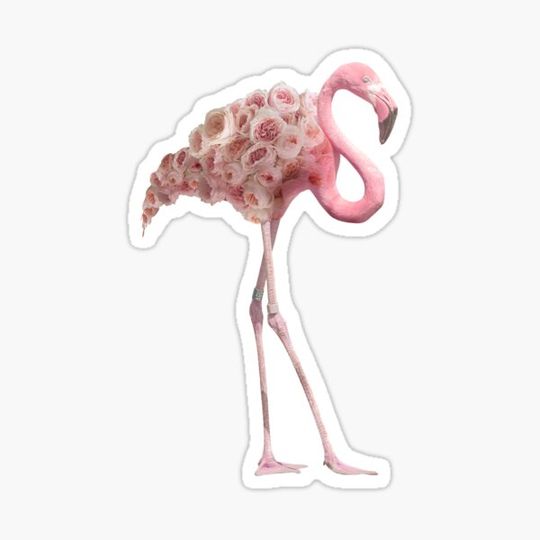 Discover Floral Flamingo