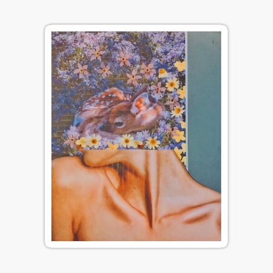 Discover Vulnerability