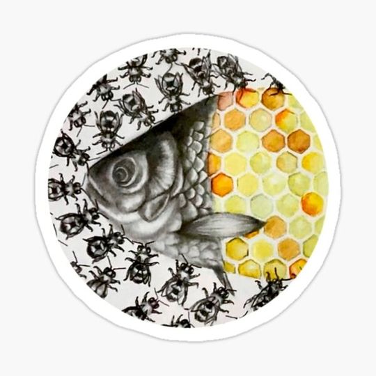 Discover Fish Honey