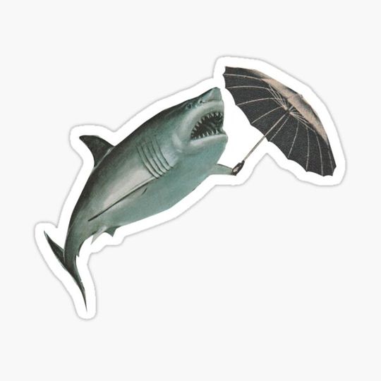 Discover Shark Parapluie