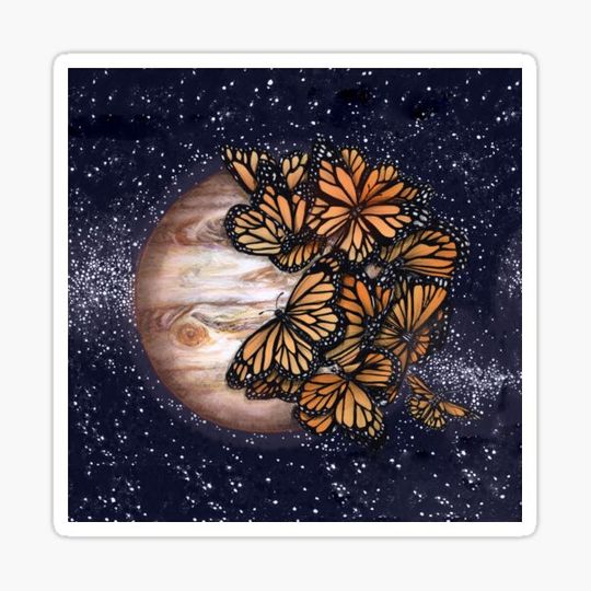 Discover Jupiter's Butterflies Colour Version