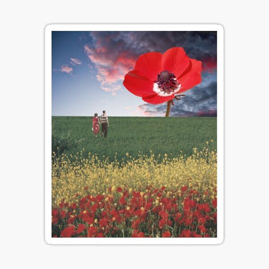 Discover Red Anenome