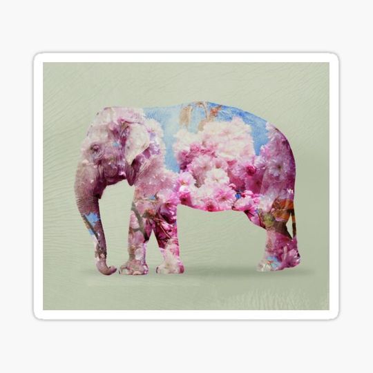 Discover cherry blossom elephant