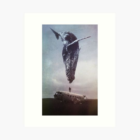 Discover Volition