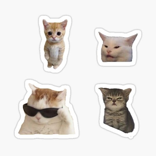 Discover cat memes stickers