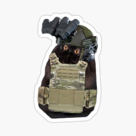 Discover Operator Big Saw Cat