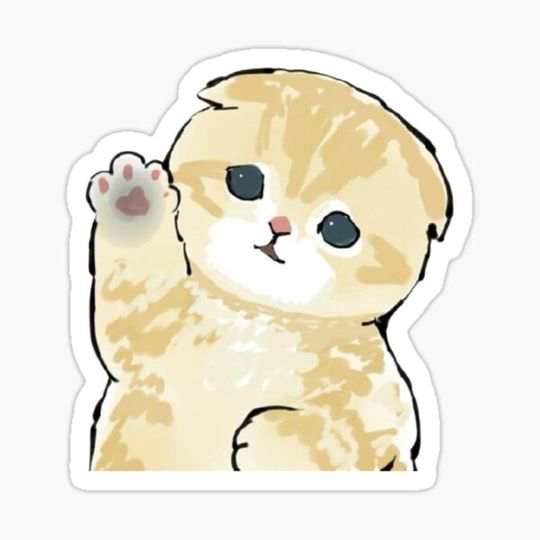 Discover cute kitty paw
