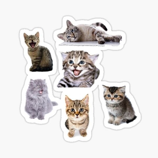 Discover Super CUTE Kittens Sticker Pack