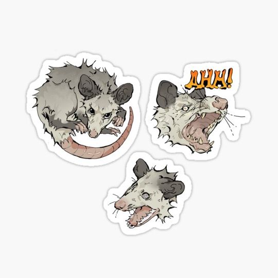 Discover opossum sticker pack