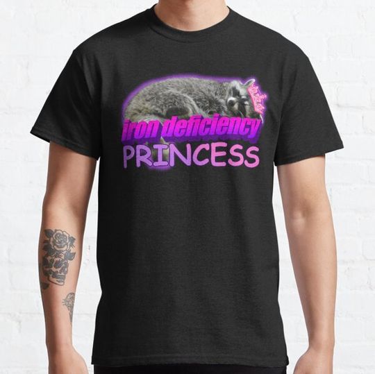 Discover Iron Deficiency Princess Raccoon Meme