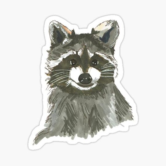 Discover Trash Cat