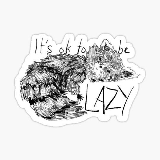 Discover lazy raccoon